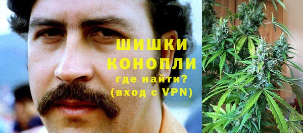 гидра Нея