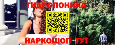 apvp Гусев