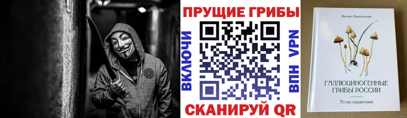 купить   Надым  Галлюциногенные грибы MAGIC MUSHROOMS 
