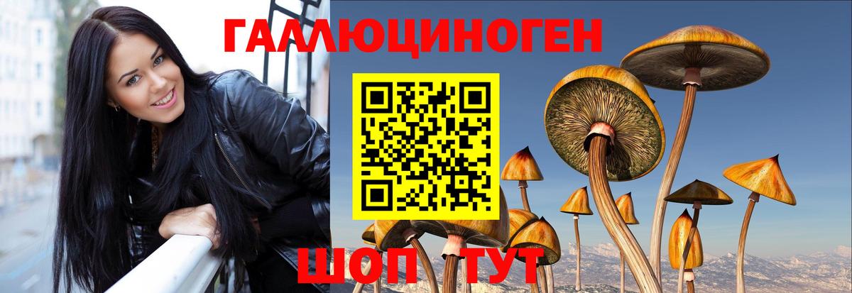 Псилоцибиновые грибы мицелий  Вход с VPN  Надым 